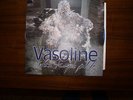 Stone Temple Pilots Vasoline Colored Vinyl Record
