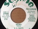 Rare Roots Reggae 45 K.C. White 
