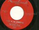 THE LEMON DROPS 45RPM '67 REMBRANDT I LIVE IN THE SPRINGTIME GARAGE VG++ VINYL