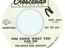 THE BOWS AND ARROWS - You Know What You Can Do (1965)