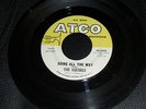 THE SQUIRES-GOING ALL THE WAY/GO AHEAD RARE PSYCH 45