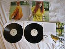 A Fine Frenzy - One Cell In the Sea 2x LP Double Record Vinyl VG+