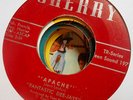 Rare Primitive PA Garage Surf 45 FANTASTIC DEE-JAYS 