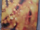 STEAMHAMMER, REFLECTION ORIG UK Mono CBS PROG BLUES ROCK LP