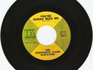 60'S PSYCH/GARAGE- THE THIRTEENTH FLOOR ELEVATORS- 
