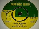 VERY RARE DOCTOR BIRD 7