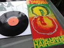 HAIR      ---- DEUTSCHE ERSTPRESSUNG AUS DEM JAHRE 1968 ----  MINT  TOP ZUSTAND