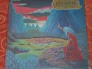 Ashbury Endless Skies Private Metal Rock LP Vinyl