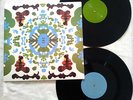 Black Dice - Beaches and Canyons 2x LP animal collective