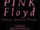 Pink Floyd Delicate Sound of Thunder 3 Track Promotional sample