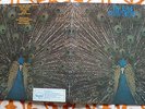 LA4 LA 4 Pavane Pour Une Infante Defunte NAUTILUS East/West D2D Audiophile M LP