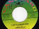 Junior Wells - (I got a) stomach ache / Shake it baby (Vanguard)