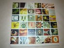 Pearl Jam No code Vinyl LP
