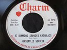 UNSETTLED SOCIETY 17 Diamond Studded Cadillacs Passion Charm Heavy Psych 45 HEAR