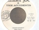 MEGA-RARE Florida Punk 45 EP-Antler Joe & The Accidents Go Commercial-No Cover
