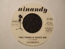 NORTHERN - CASHMERES -FINALLY WAKING UP (BASHFUL MAN)- NINANDY - DJ COPY- LISTEN