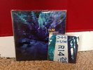 Hum - Downward Is Heavenward 12