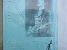 Bruce Springsteen The Jersey Devil -  King Of The Alley TMQ 5466 Vinyl