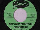YVONNE BAKER & SENSATIONS: That's What You Gotta Do 45 rare Soul
