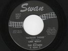 HOT ROCK & ROLL INSTRUMENTAL-LINK WRAY-SWAN 4244-BATMAN THEME/ALONE-LISTEN