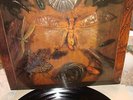 JOY UNLIMITED SCHMETTERLINGE-PILZ 1BESTELL NR.20 21090-1 BADENIA MUSIK 1971 RARO