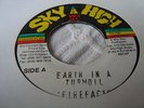 Fire Facts Earth In Turmoil Killer Digi Roots 7
