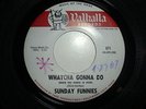 1967 CALIF. GARAGE-SUNDAY FUNNIES-WHATCHA GONNA DO-VALHALLA 671