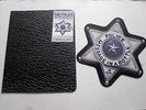 THE POLICE STING AMERICAN SHAPED 7