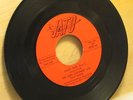 Funk 45   The Dog Catchers  