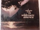 WILDERNESS AMERICA Celebration Of The Land LP RARE PRIVATE Modern Soul Funk HEAR