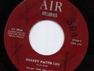 ROCKABILLY + TEEN--BIG SHOTS / ROY BIGGS--HEAR BOTH--FLORIDA SONG POEM AIR