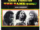 DUB LP - ISRAEL VIBRATION - THE SAME SONG - DUB VERSION 1st press TOP RANKING