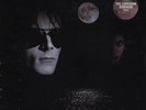 THE SISTERS OF MERCY - FLOODLAND - PUNK ROCK LP - SEALED NO MARKS