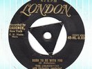 THE CHORDETTES 1956 GOLD LONDON *BORN TO BE WITH YOU*