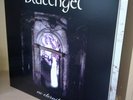 BLUTENGEL - No Eternity (12