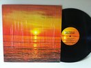 TONY PALKOVIC LP - Deep Water - RARE 1980 PRIVATE PSYCH SYNTH - SHRINK -GORGEOUS