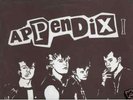 APPENDIX-LP RARE KBD FINNISH PUNK ORIGINAL 1984 Rattus
