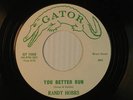 RANDY HOBBS r&b-garage 45 YOU BETTER RUN / OH JULIE   GATOR VG+