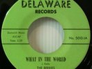 The Berries 1966 What In The World 45 Vectors J. Kelley Rare Garage Punk Mint NR