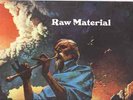 RAW MATERIAL on EVOLUTION  UK PSYCH PROG EX- original LP 1st