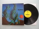Rontheo - Same, D 1976, LP, Original, Vinyl: m-