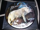 Destroyer 666 - Unchain the wolves Picture LP  - RARE - Darkthrone - Desaster