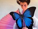 PUCCINI-MADAME BUTTERFLY-ANDRE KOSTELANETZ-PAUL HUF ART PHOTO