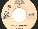 RARE & GREAT DOO WOP 45 