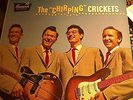 Buddy Holly The Chirping Crickets PROMO Bunswick 54038 Rockabilly classic