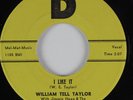 Rockabilly 45 WILLIAM TELL TAYLOR I Like It D HEAR NM/VG++