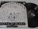 TASTE OF BLUES Schizofrenia SWE pre-Asoka UNDERGROUND LP PSYCH PROG BLUES RE