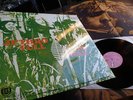 JETHRO TULL           - THIS WAS -   MINT ARCHIVE ORIGINAL ON PINK ISLAND