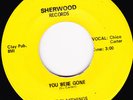 GARAGE  45RPM - THE PLAYTHINGS on SHERWOOD RECORDS