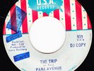 GARAGE  45RPM - PARK AVENUE PLAYGROUND on U.S.A. RECORDS (PROMO)